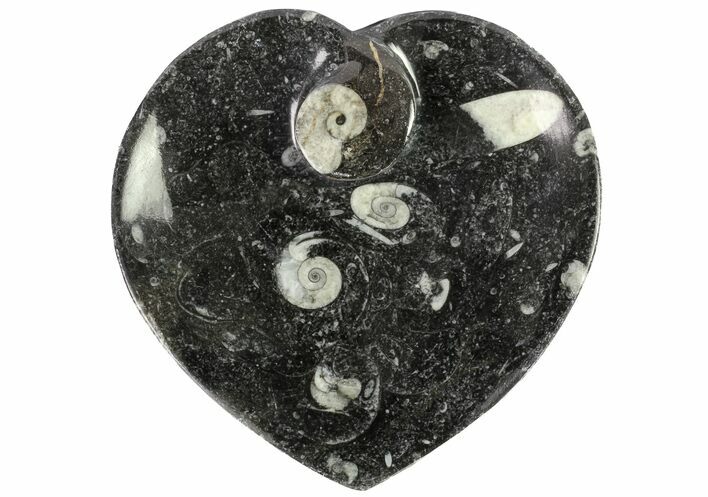 Heart Shaped Fossil Goniatite Dish #77684